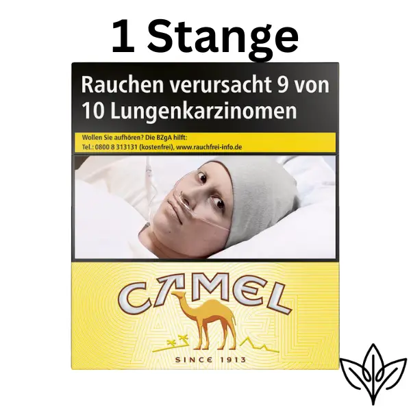 Camel Yellow BP XXL (10x24)