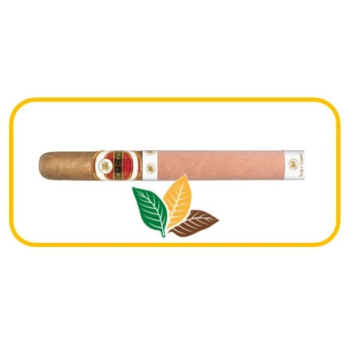 Flor de Copan - Churchill