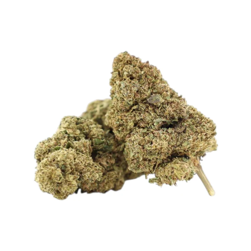 CBG9 40% Frankenstein