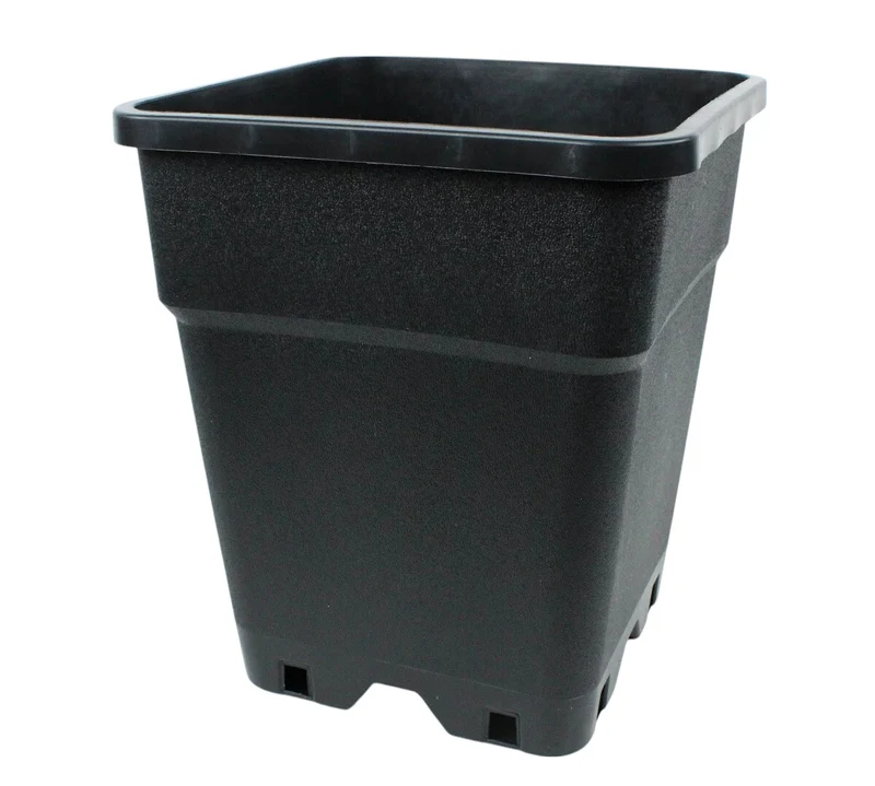 Potking Quadtratisch