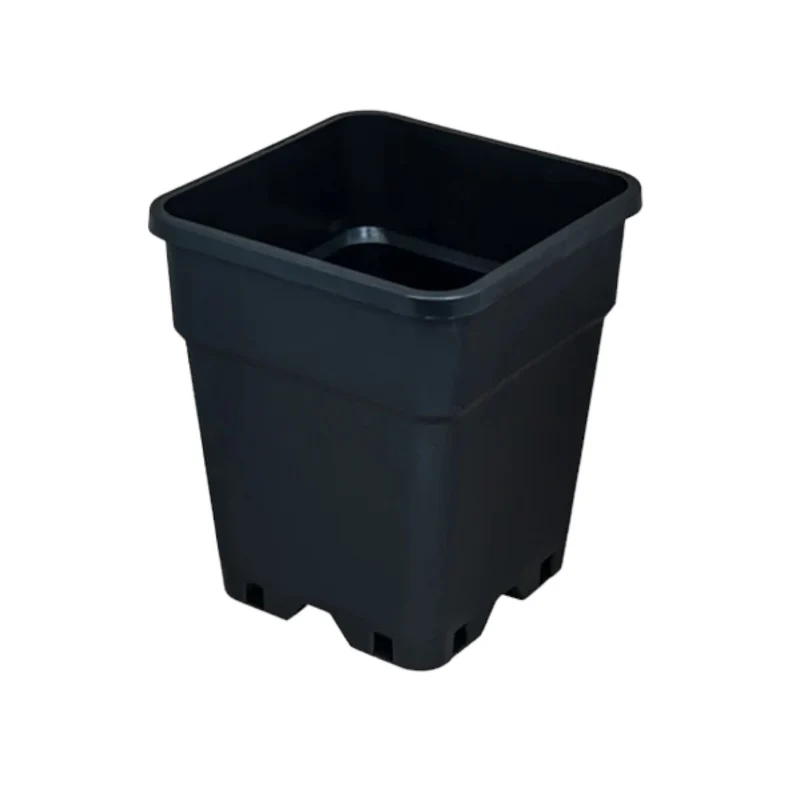 Potking Quadtratisch