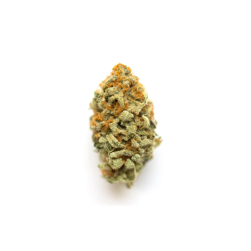 CBD Blüten F55 GMO Cookie