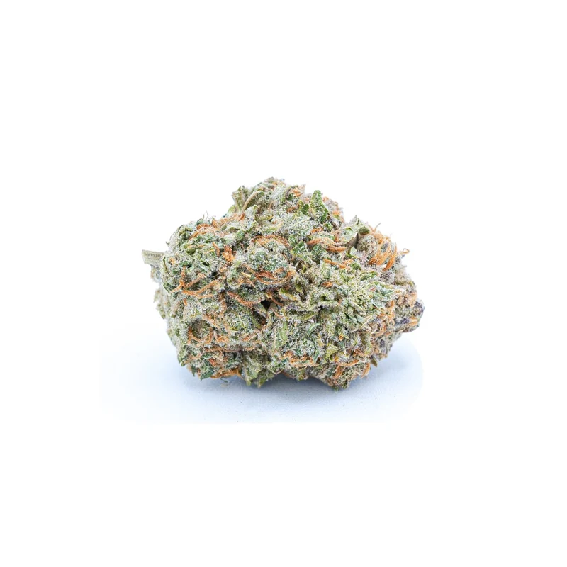CBD Blüten Chocolope