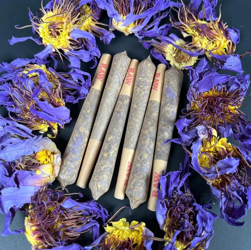Blauer Lotus Joint