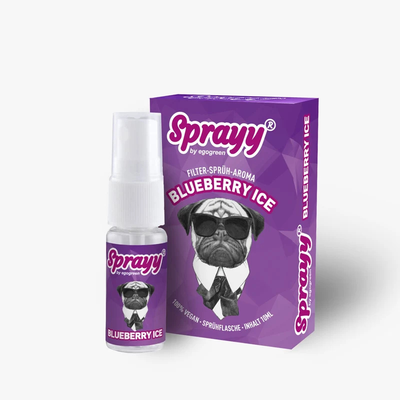 SPRAYY® Blueberry ICE für Tabak Zigaretten
