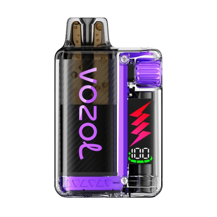 VOZOL - Vista Plug 10000 - Blueberry Raspberry Lemon
