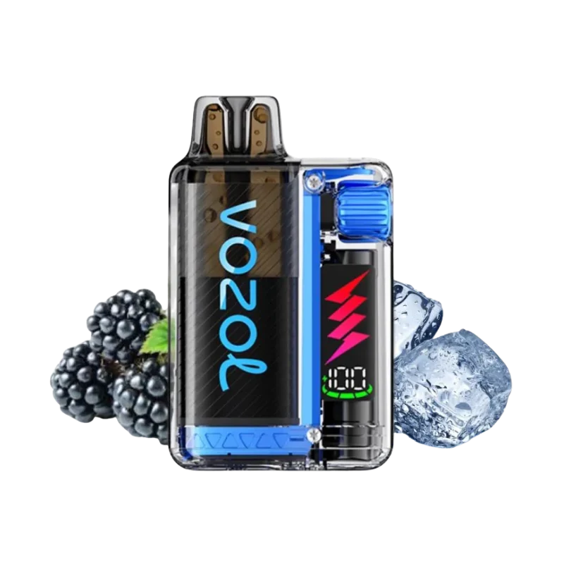 VOZOL - Vista Plug 10000 - Blackberry Ice