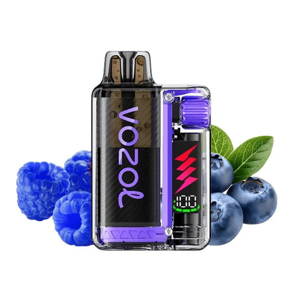 VOZOL Vista Plug Starter Kit Blueberry Sour Raspberry 20mg