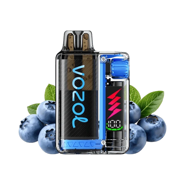 VOZOL Vista Plug Starter Kit Blueberry Ice 20mg
