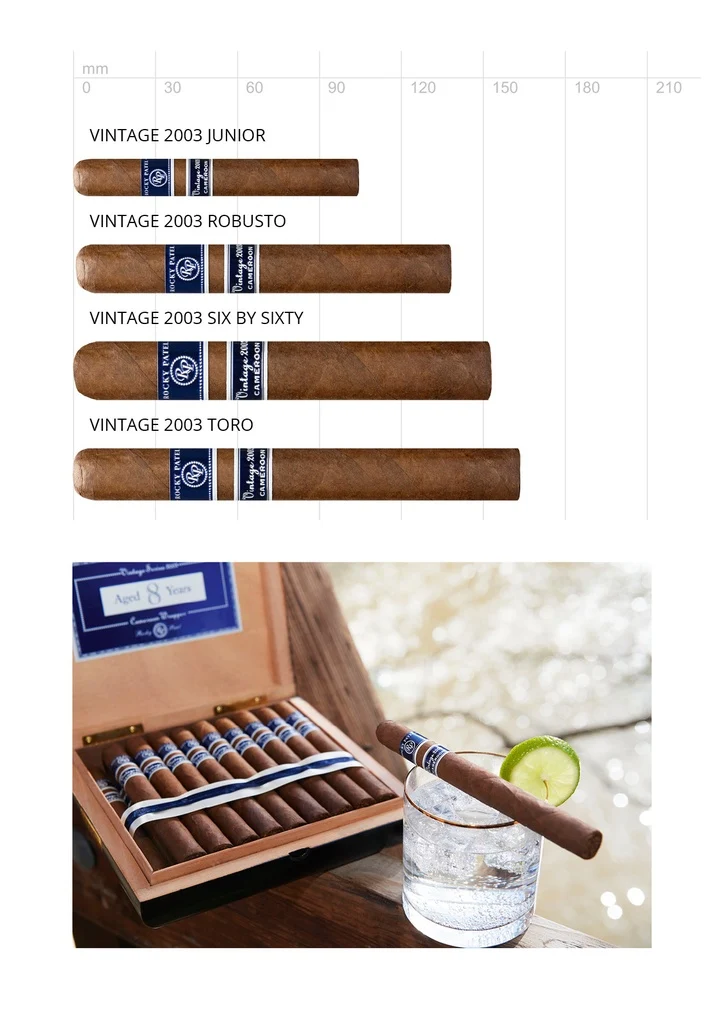 Rocky Patel Vintage 2003 Robusto