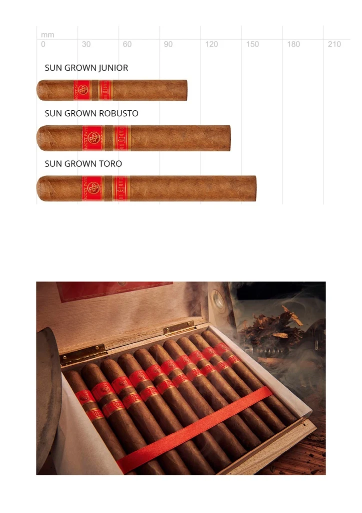 Rocky Patel Sun Grown Robusto