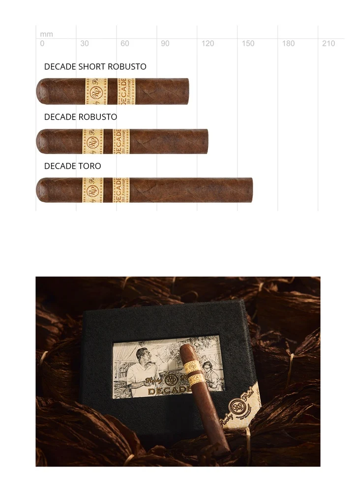 Rocky Patel Decade Short Robusto