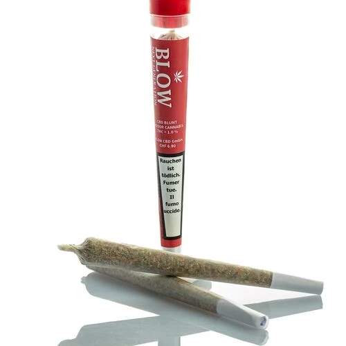 Blow CBD Joints «Strong Haze Red» – Box mit 20 Stück