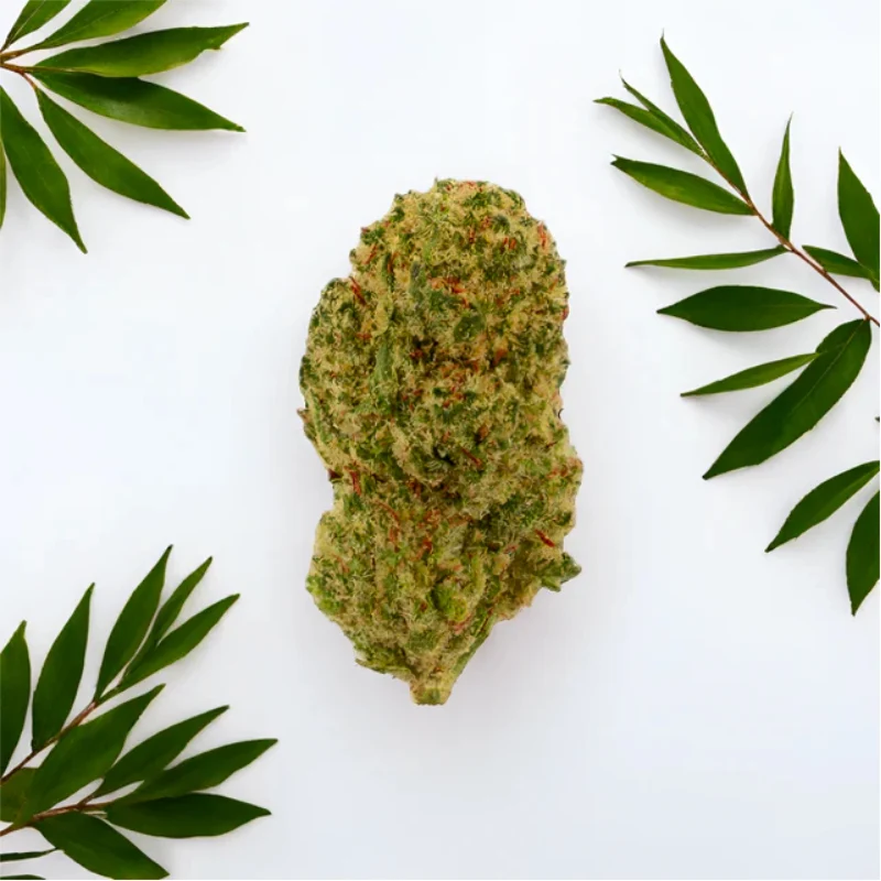 Green Passion Maui Wowy Popcorn – CBD Blüten, 10 g