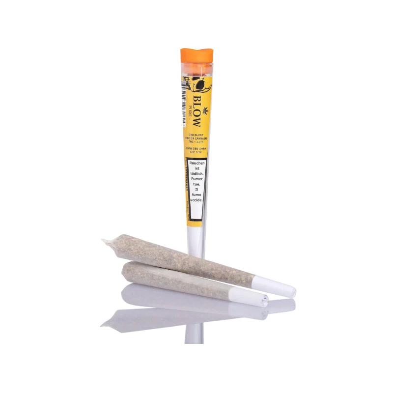 Blow Pure CBD Joints «Orange» – Box mit 20 Stück