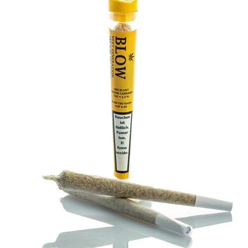 Blow CBD Joints «Sweet Haze Yellow» – Box mit 20 Stück