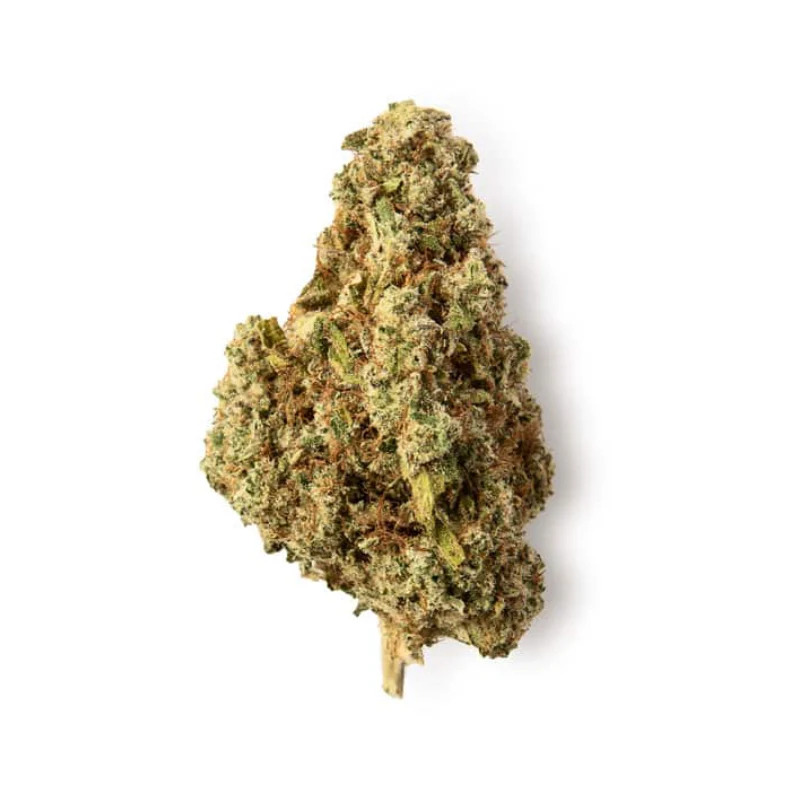 Green Passion Orange Passion – CBD Blüten Indoor, 2 g