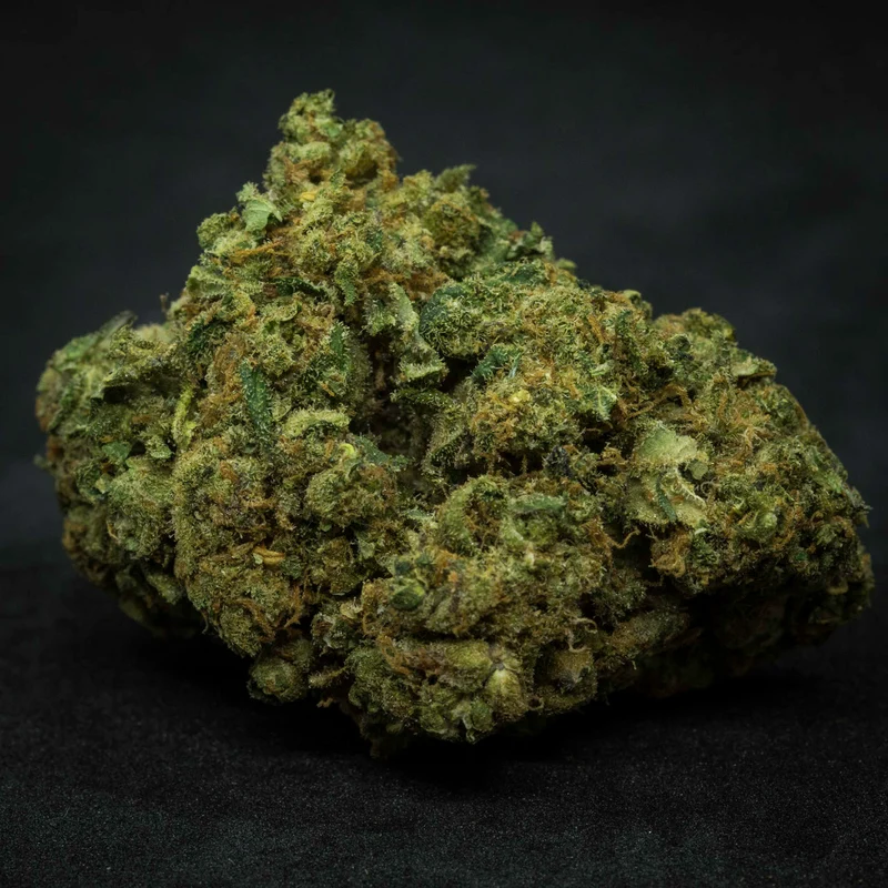 Zauber Blüten Basilia Suavis – CBD Blüten, 2 g