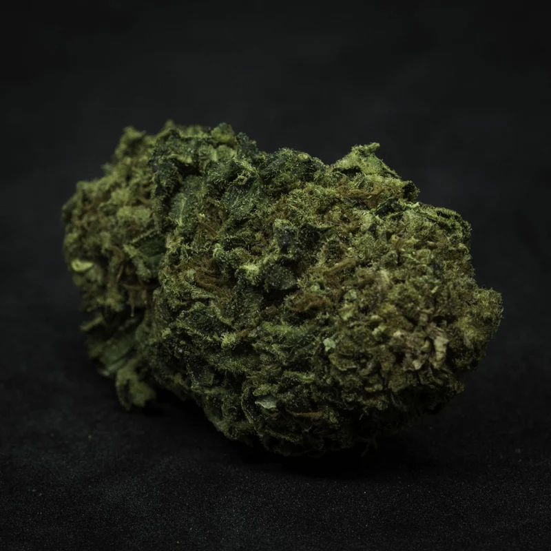 Zauber Blüten Aravia Fructus – CBD Blüten, 2 g