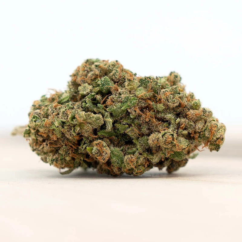 Herba di Berna Harlequin – CBD Blüten Indoor, 3 g