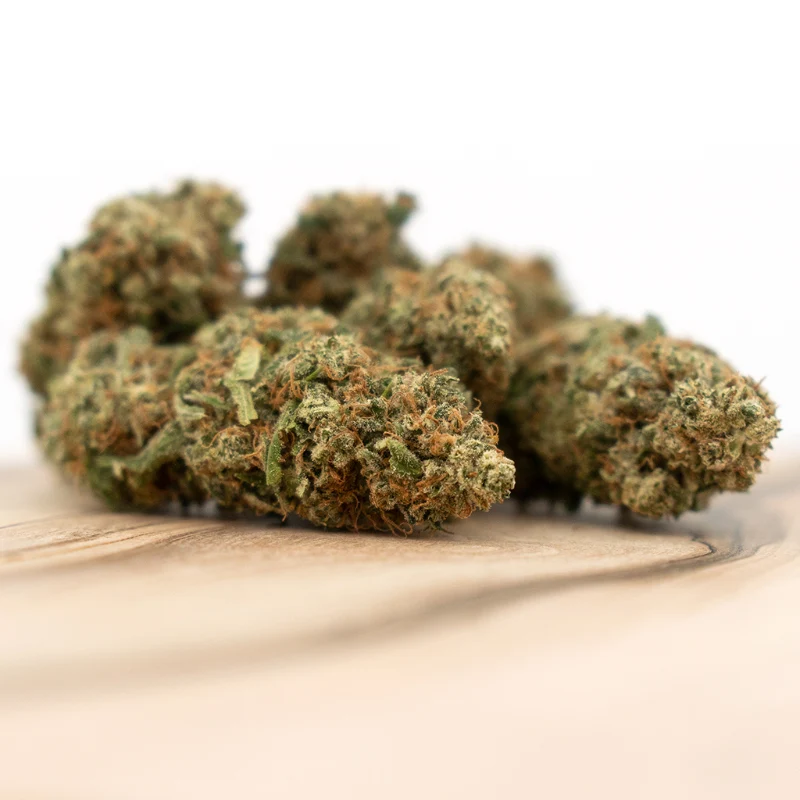Herba di Berna Power Plant – CBD Blüten Indoor, 12 g