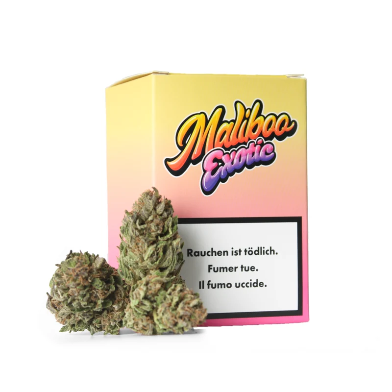 Bud Buddies Maliboo Exotic – CBD Outdoor Blüten 5g