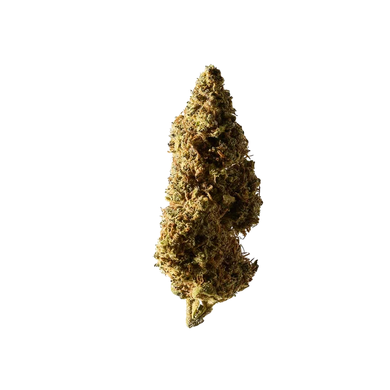 Herba di Berna Blueberry Muffin – Outdoor CBD Blüten, 40g