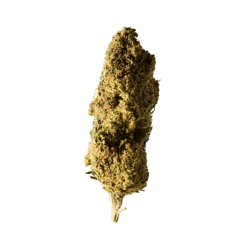 Herba di Berna Cannatonic – Outdoor CBD Blüten, 40g