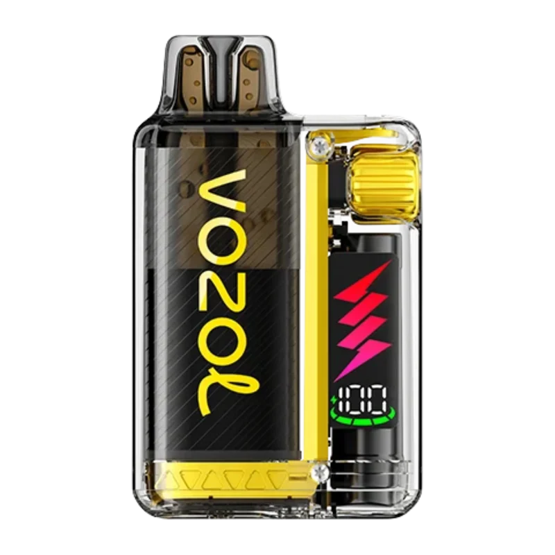 VOZOL Vista Plug Starter Kit – Mango Ice 20mg/ml Vape Kit