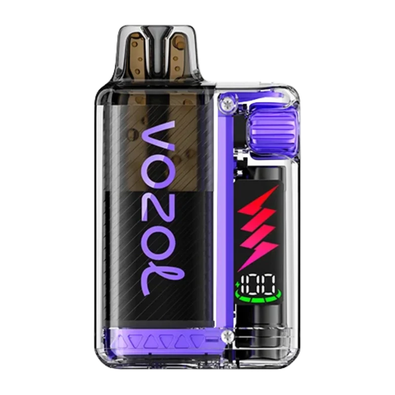VOZOL Vista Plug Starter Kit – Grape Ice 20mg/ml Vape Kit