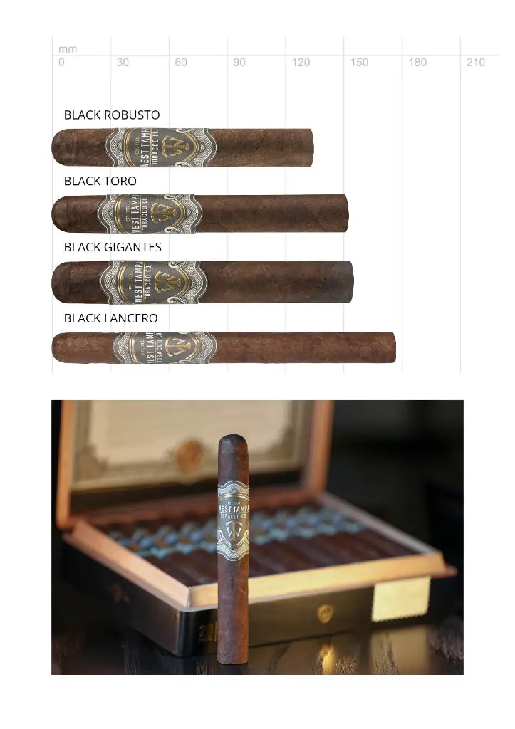 West Tampa Black Lancero
