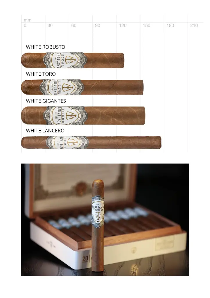 West Tampa White Robusto