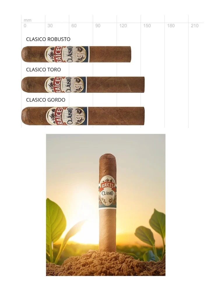 Raices Clasico Robusto