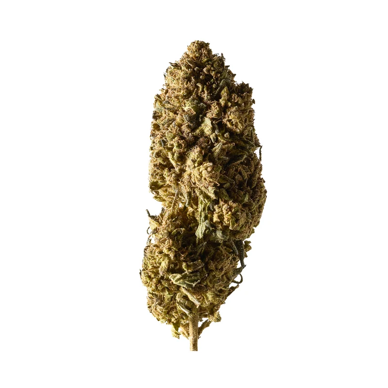 Herba di Berna Mango Haze – Outdoor CBD Blüten, 45g