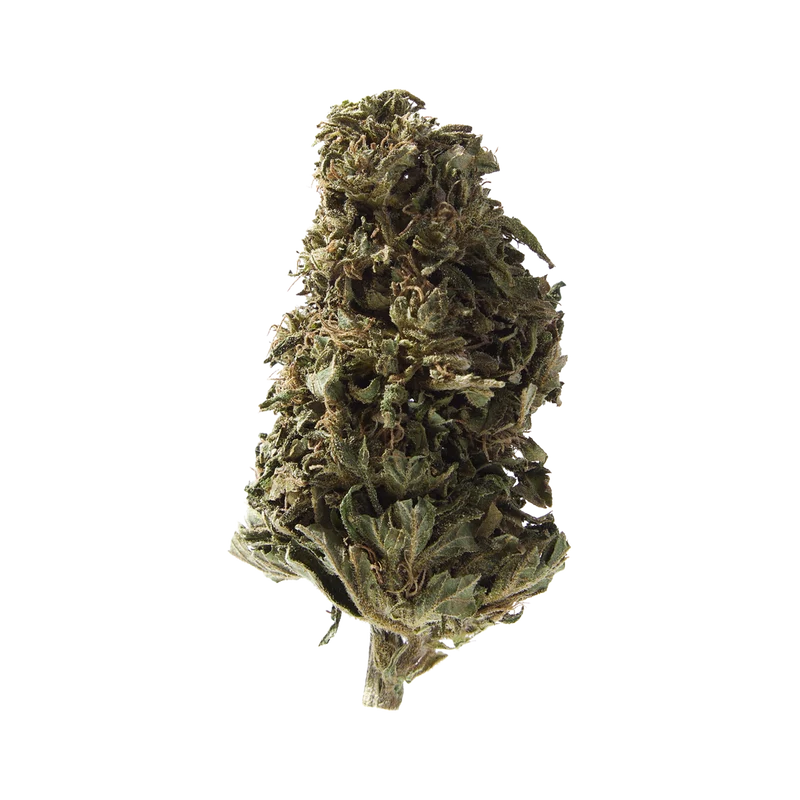 Herba di Berna Orangello – Outdoor CBD Blüten, 45g