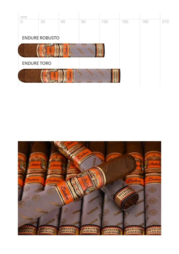 E.P. Carrillo Endure Robusto