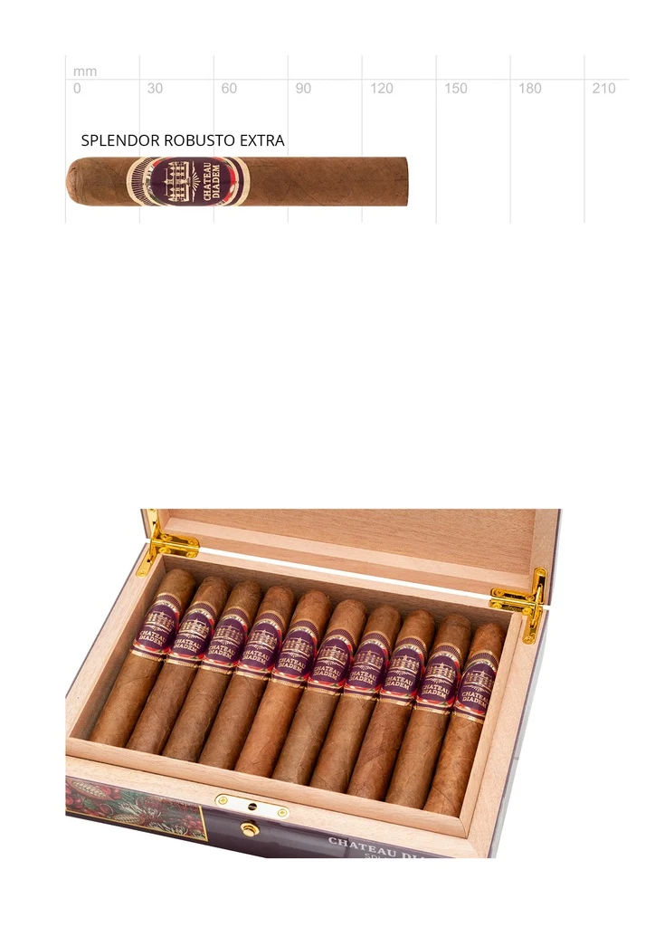 Chateau Diadem Splendor Robusto Extra