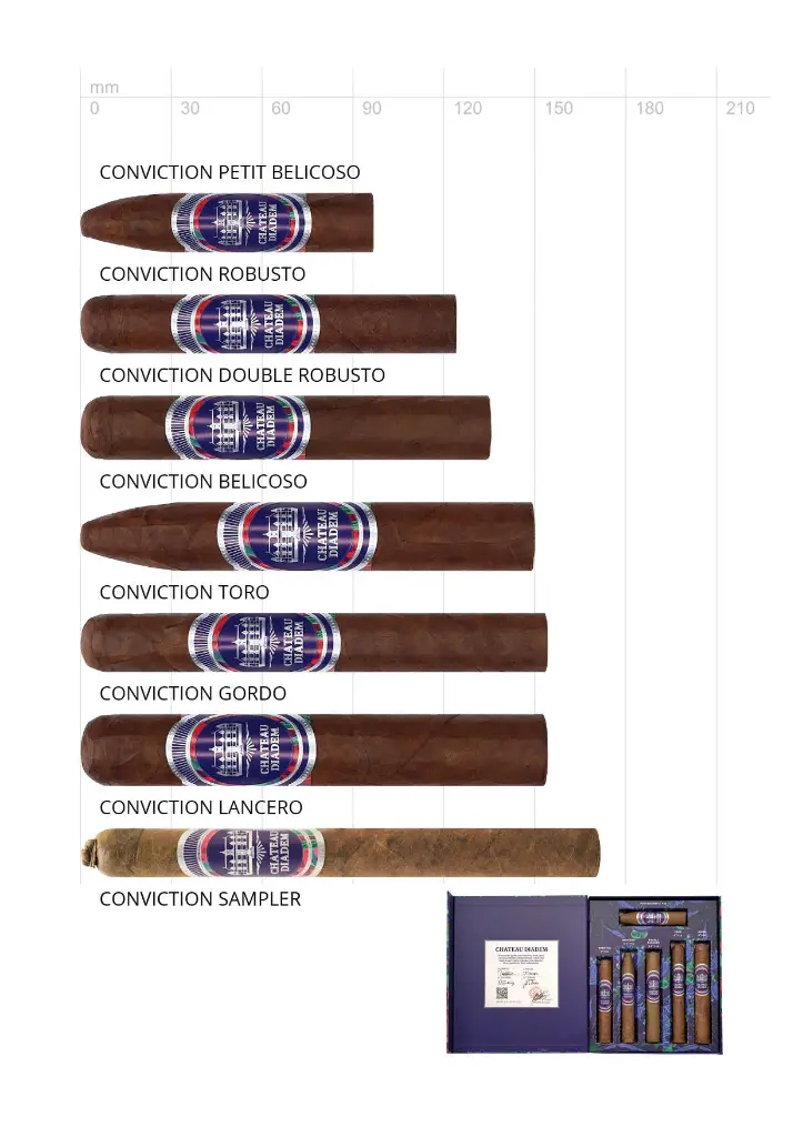 Chateau Diadem Conviction Robusto
