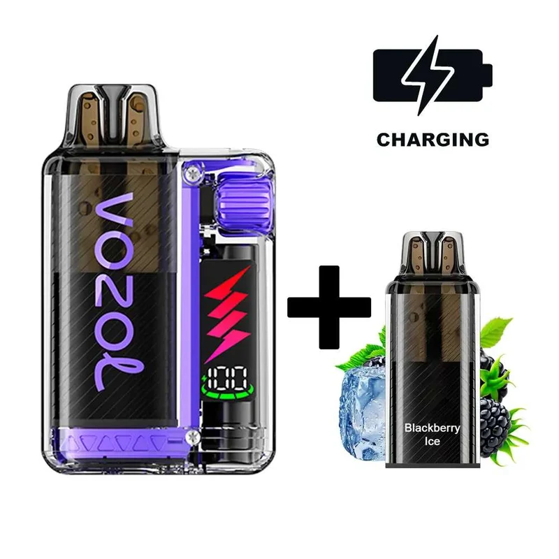 VOZOL Vista Plug Starter Kit - Blackberry Ice 20mg/ml