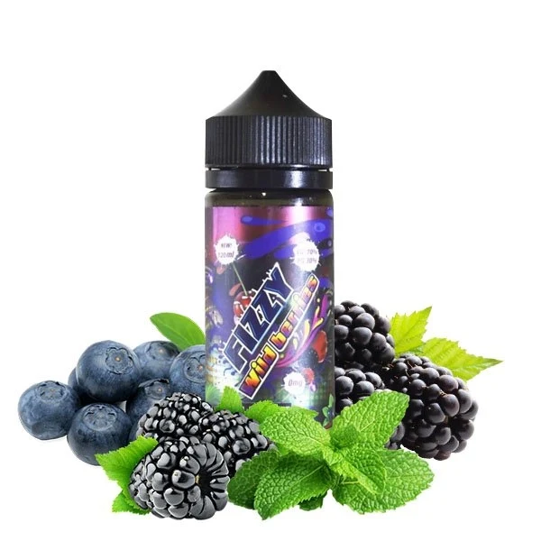 Fizzy Juice - Wild Berries - 100ml
