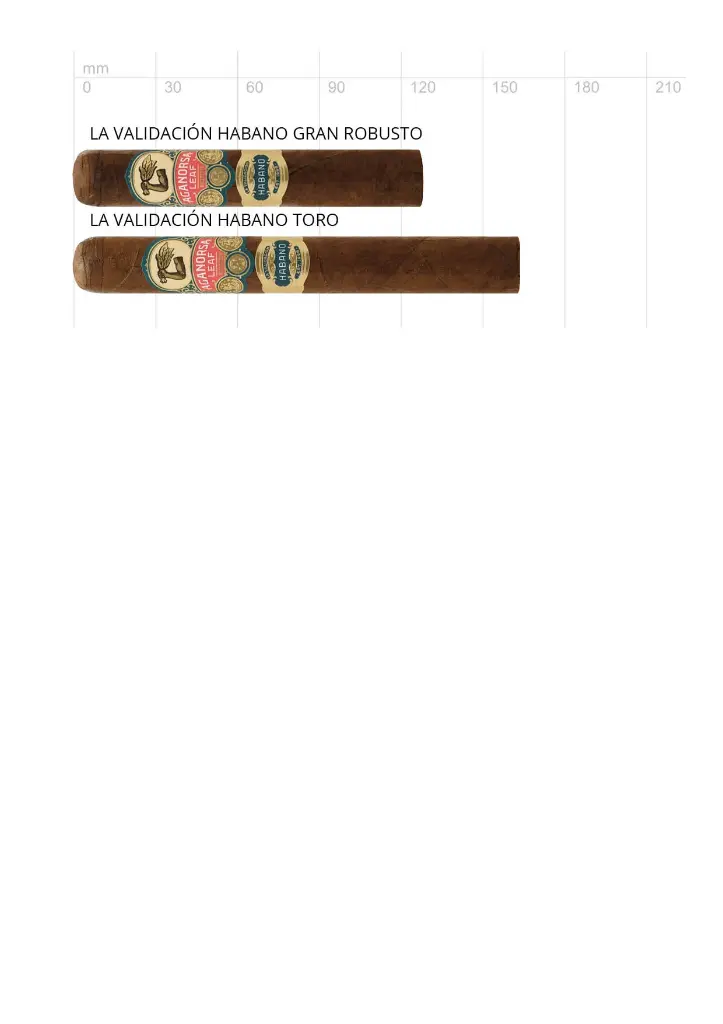 Aganorsa Leaf La Validación Habano Gran Robusto