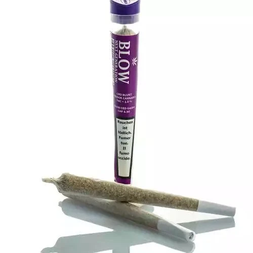 Blow Limoncello Violett – Display, 20 Joints