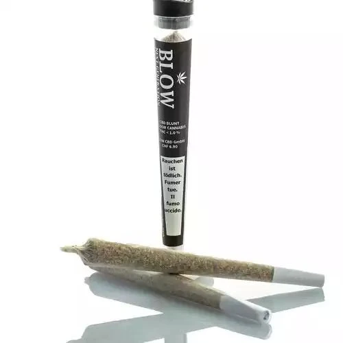 Blow V1 Black – Display, 20 Joints