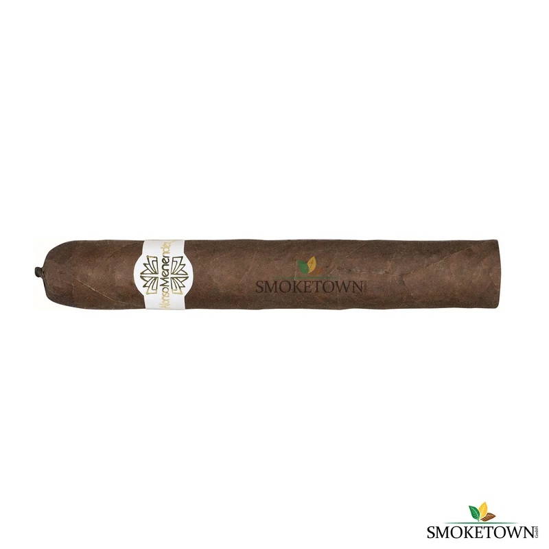 Alonso Menendez Robusto 25 Zigarren