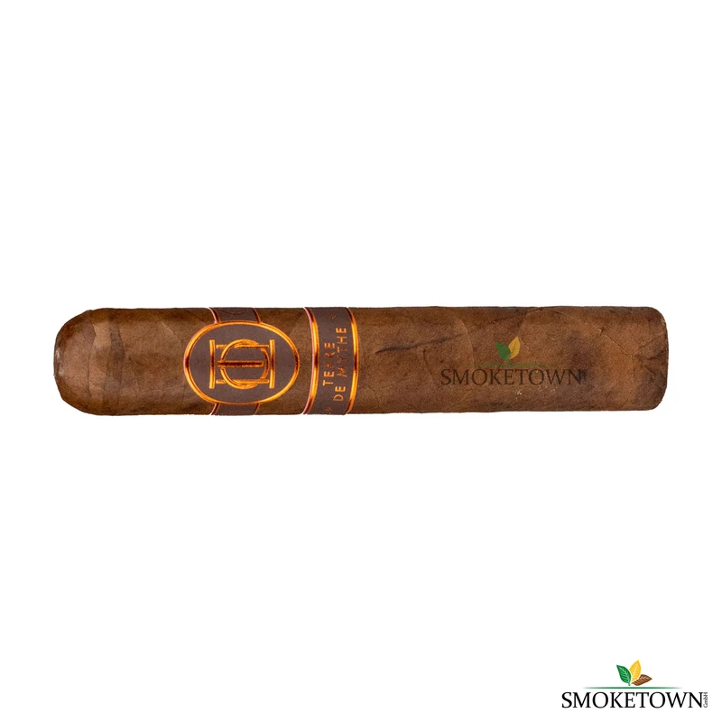 L.Chavin Terre de Mythe Zigarren Grand Robusto 10