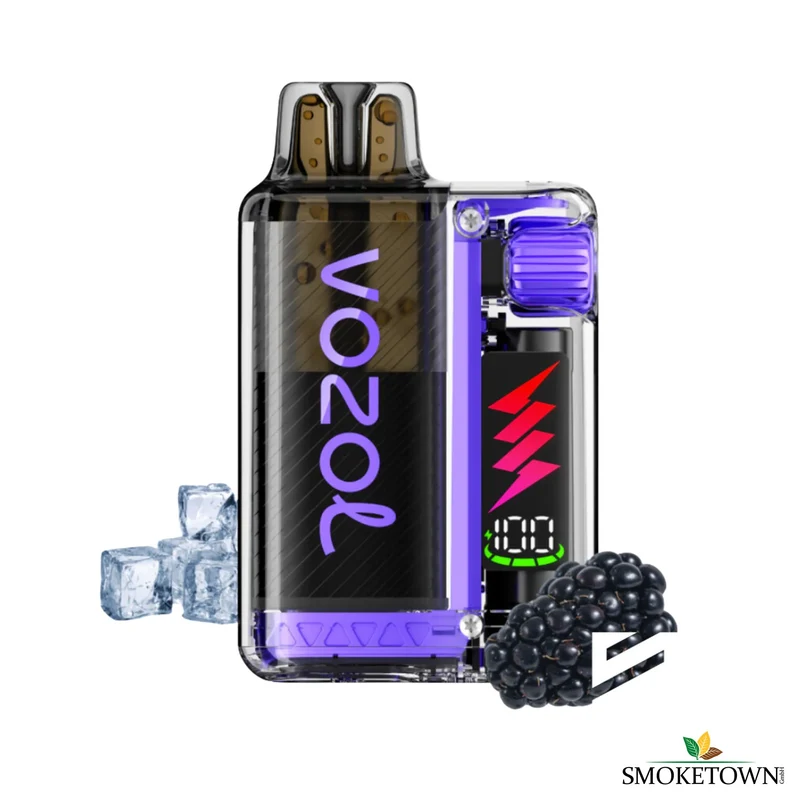 VOZOL VISTA PLUG - Blackberry ICE - 10'000 Züge