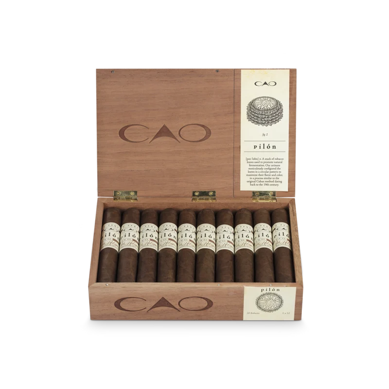 CAO Pilón Robusto Extra Zigarre