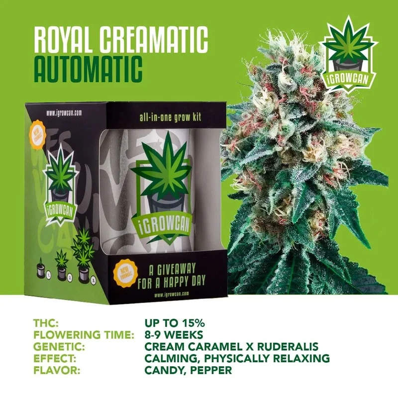 iGrowCan Cannabis Grow Kit Automatic