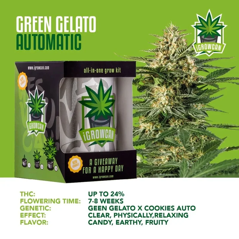 iGrowCan Cannabis Grow Kit Automatic