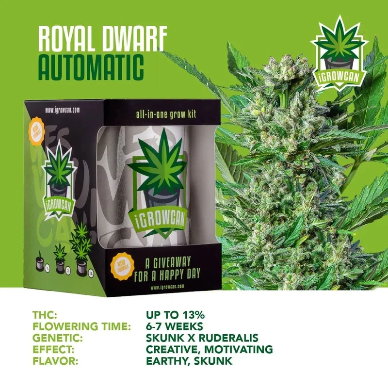iGrowCan Cannabis Grow Kit Automatic